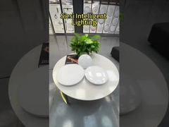 Siesi X-DX1013-01 LED tri-proof ceiling light video 