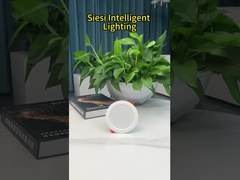 LED Aşağı Işık